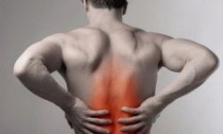 Мышцы спины: анатомия и функции, причины боли в них