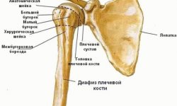 Перелом хирургической плечевой кости: причины, лечение