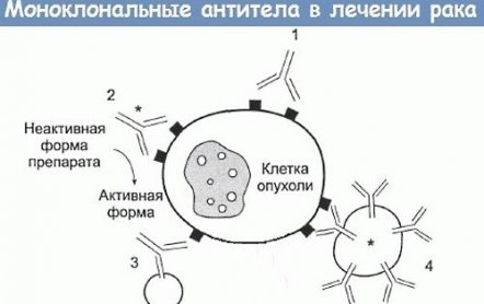 Эксджива — инструкция по применению, цена, аналоги