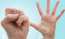 Массаж, упражнения и питание при артрите пальцев рук