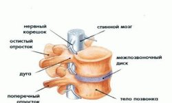 Дефанотерапия у специалиста и на дому своими руками: отзывы