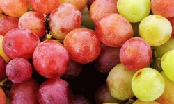 Виноград и подагра: можно ли есть, ограничения