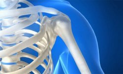 Плечевой сустав: анатомия и патология