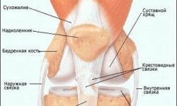 Болят суставы коленей при беременности: причины боли в ногах