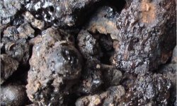 Мумие алтайское: описание, свойства и применение